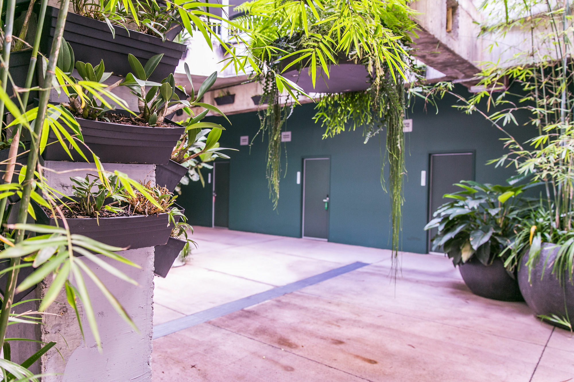 The Urban Newtown Hotel Sydney Ngoại thất bức ảnh